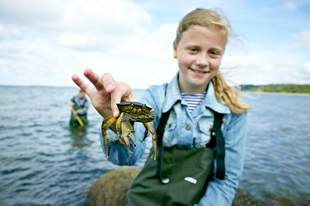 Pige med krabbe Glyngøre