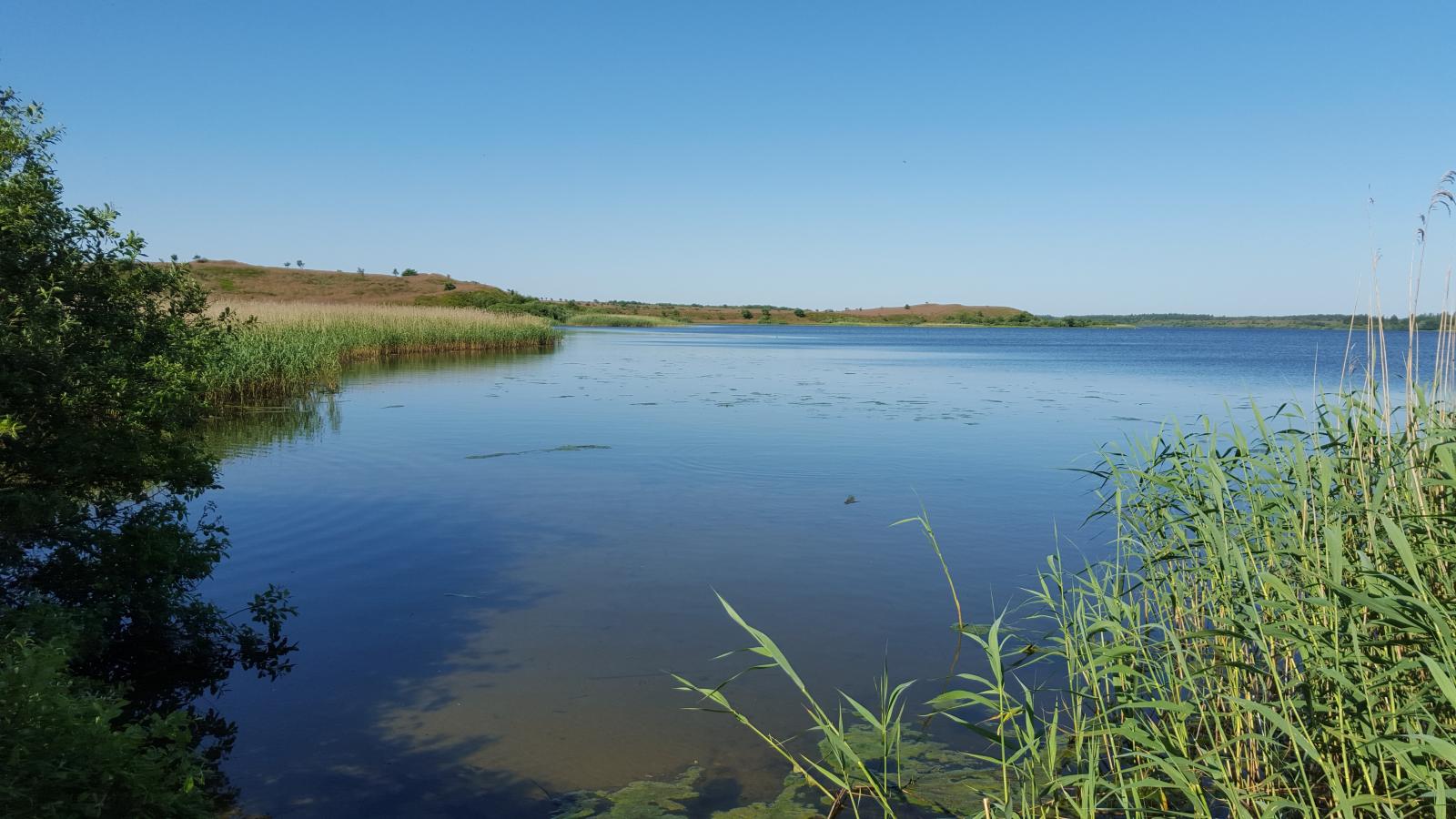Naturpark Flyndersø