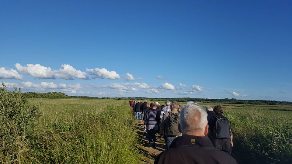 Vandretur ved Håsum Enge