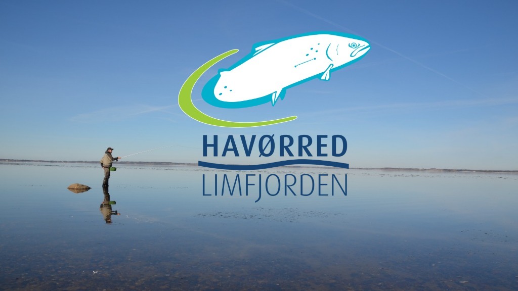 Havørred Limfjorden logo