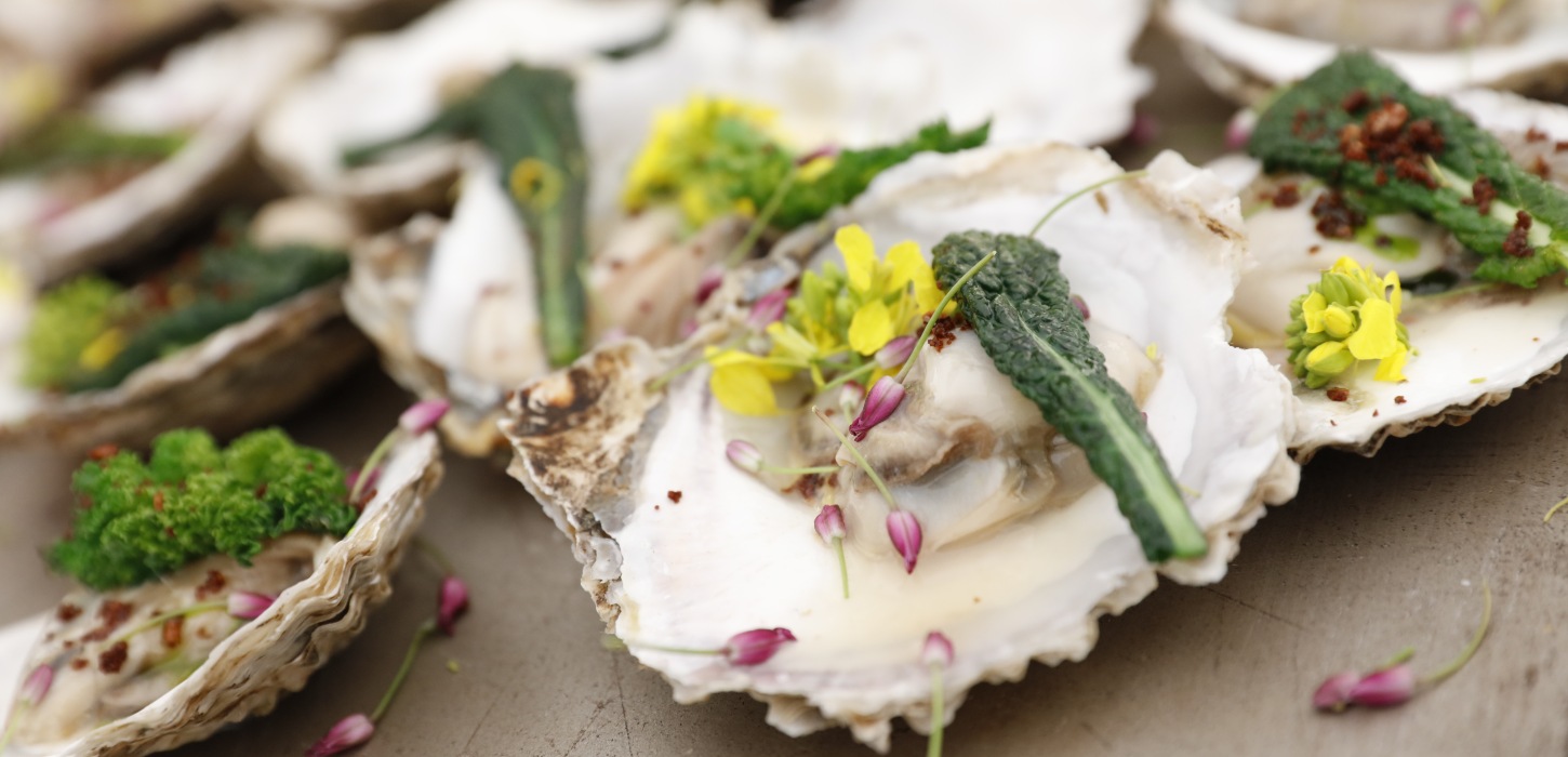 Østers fra Limfjordslandet