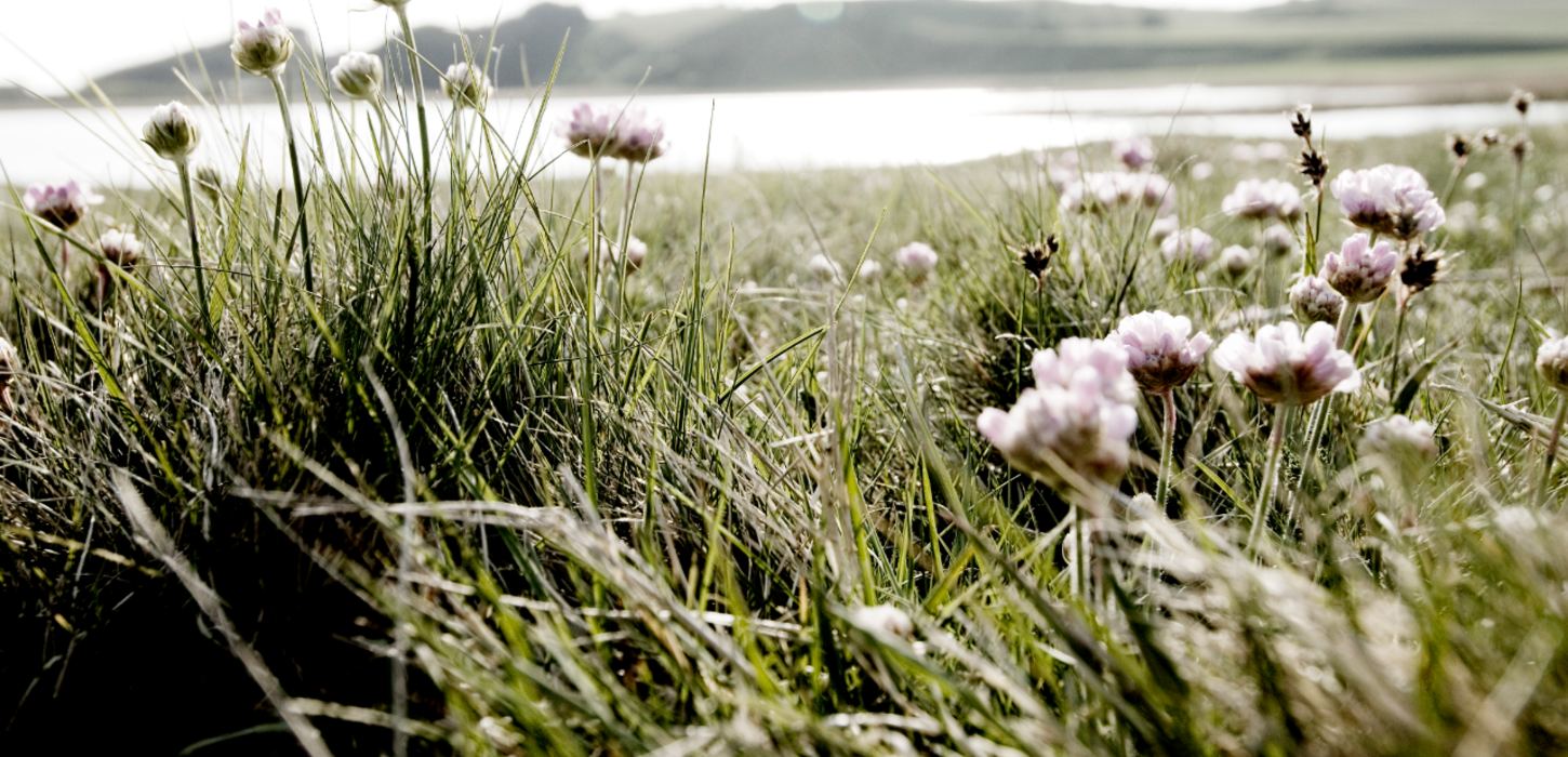 Vandring paa Kystruten, Mors