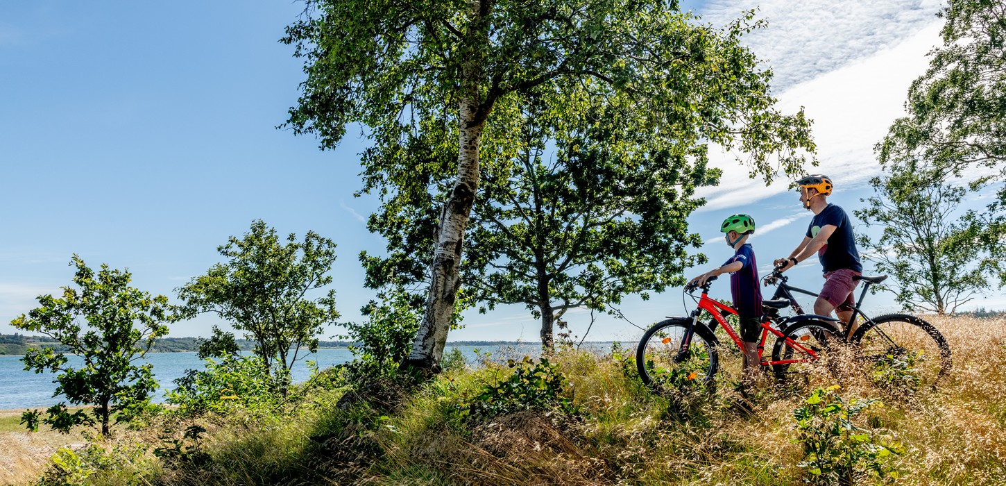 Mors, Cykel, Natur, Familie, Limfjorden