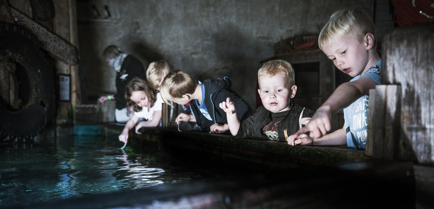 Jyllandsakvariet, børn