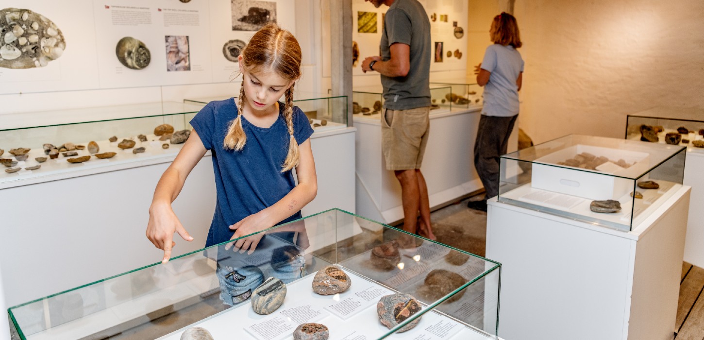 Fossil og molermuseet