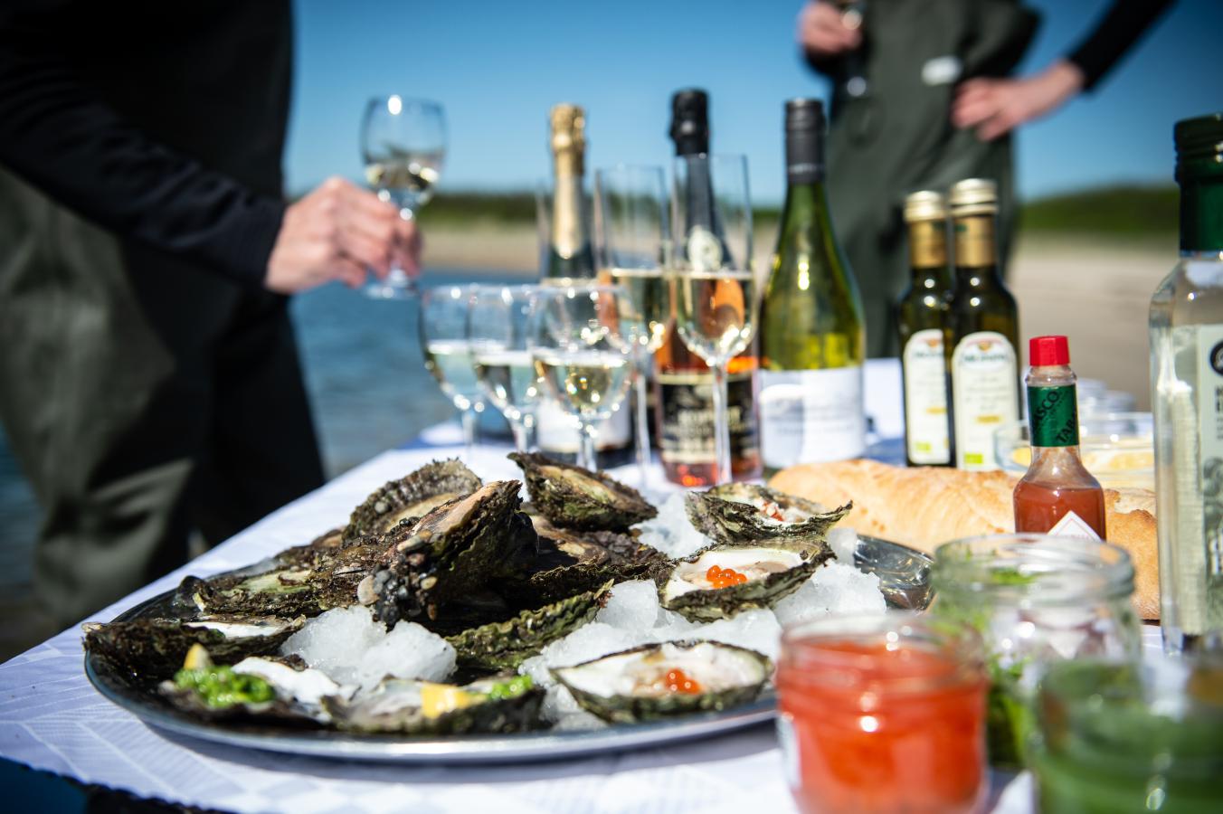 Østers - Jyllandsakvariet