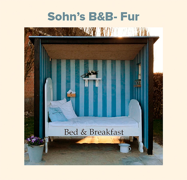Sohn's B&B Fur