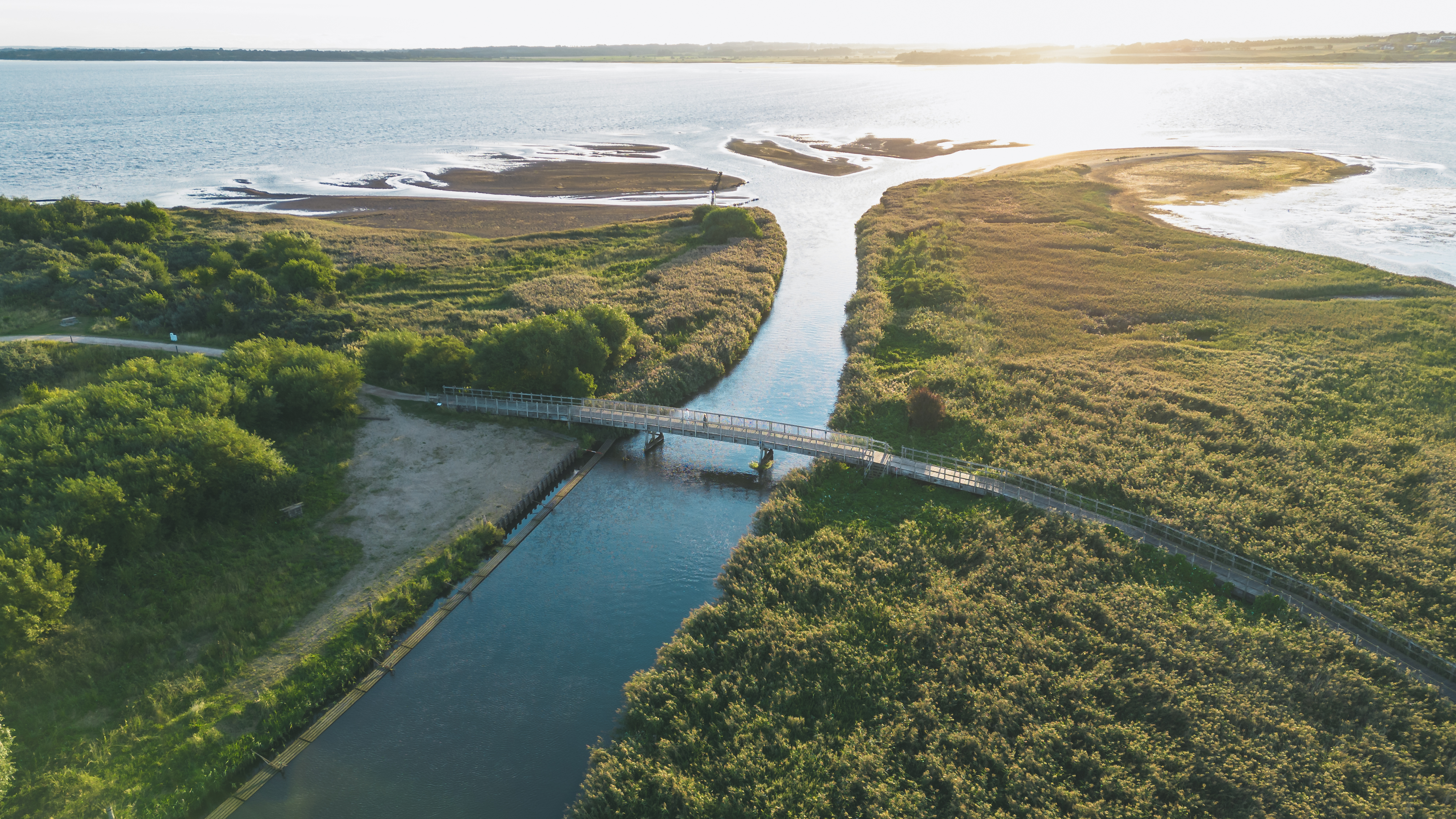 Danmarks Længste Træbro, Skive