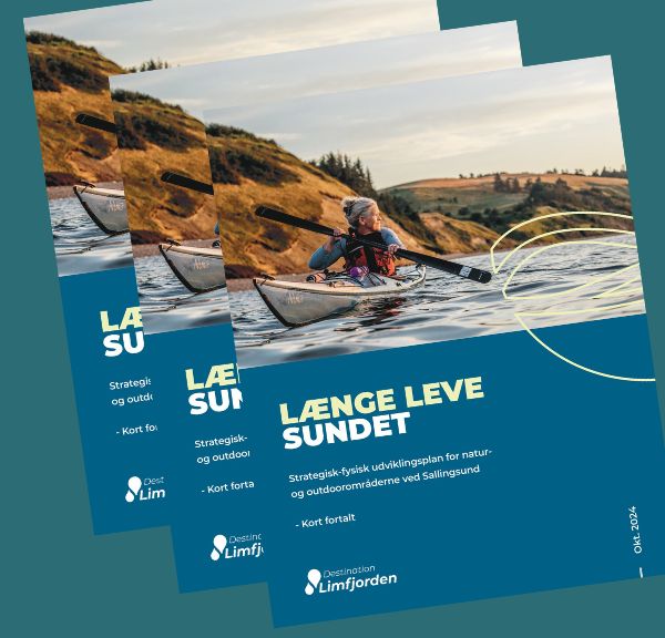 Projekt - Længe Leve Sundet - Udviklingsplan, mini version