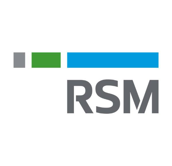 RSM Danmark - logo